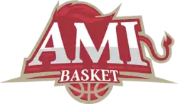 AMI Basket logo