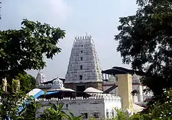 View of Bhadrachalam Gopuram from Yogananda Narasimha Swamy temple