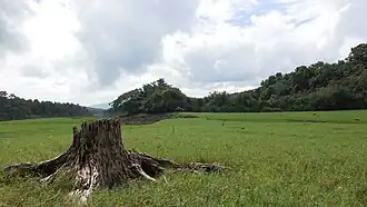 A landscape at Thattekad Bird Sanctuary