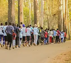 Local jogging club.