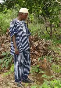 A cashew plantation owner in the Boké prefecture