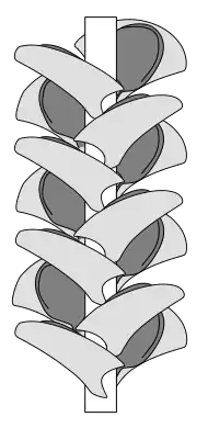 Drawing of extinct plant