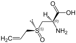 Alliin, a sulfur-containing compound found in garlic.
