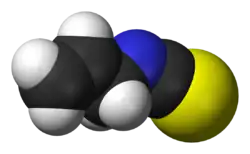 Space-filling model of allyl isothiocyanate