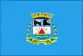 Flag of Antônio Carlos