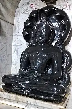 The idol of Antarikṣa Pārśvanātha during Digambara rituals