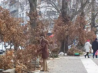 Photograph of a young woman in winter clothes arranging variously sized oak tree branches laid out around two sides of a small square. The square is surrounded by a row of trees through which large buildings of a city can be seen.