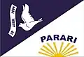 Flag of Parari, Paraíba