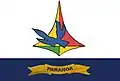 Flag of Paranoá
