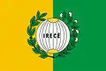 Flag of Irecê