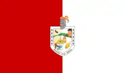 Flag of Amatitán