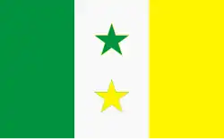 Flag of Valle de la Pascua