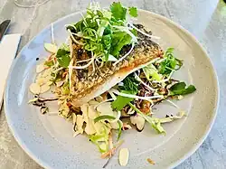 Barramundi