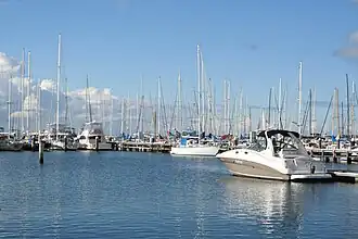 Boats docked in the Bay City Marina