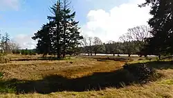 Bayshore Preserve, 2025