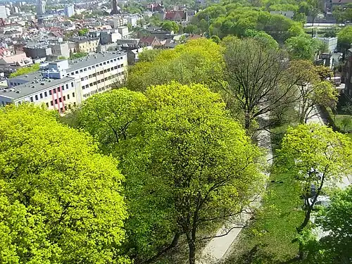 Park from the water tower observation deck