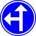 D3a: Turn left or ahead only