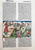 Koberger Bible, Nuremberg, 1483 – Book of Revelation