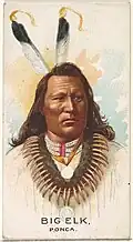 Big Elk (Indian Chiefs of America)