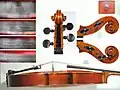Otello Bignami Viola scroll and side Firenze1976