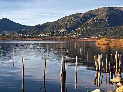 Looking west across the lagoon. The poles anchor capétchade traps.