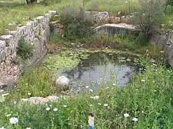 Bir es-Shami, facing north