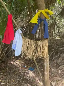 A sacred tree tied with colored cloths and a grass skirt, with symbols drawn on the trunk