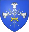Coat of arms of Sainte-Anne