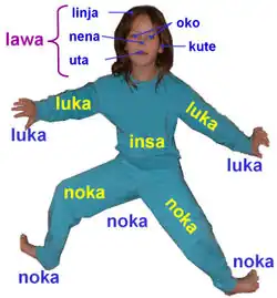 Body parts in Toki Pona