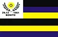 Flag of Bonito, Pará