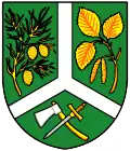 Coat of arms of Borová Lada