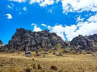 Tall, eroded rock formations standing amid sparse vegetation