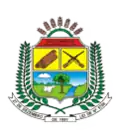 Official seal of São Domingos do Araguaia
