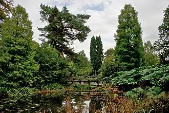 Golden Brook at Tatton Park Gardens, near Knutsford