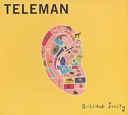 Drawing of an ear split into different segments, some coloured, with random items placed in most of these segments"