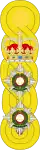 1881 to 1902 colonel's shoulder rank insignia
