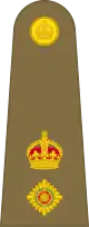 Lieutenant-colonel