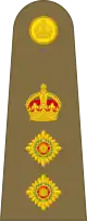 Colonel