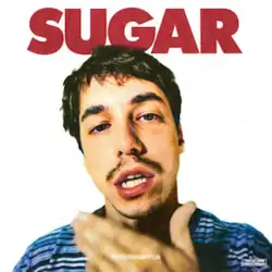 A caucasian man wearing a blue striped shirt putting his hand up to his goatee. He stands in front of a white background that features the word "Sugar" in red bold writing appearing at the top.
