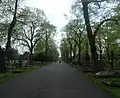 Central avenue, from North Lodge Brompton Cemetery
