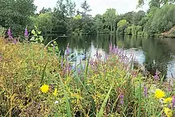 Another view of the lake