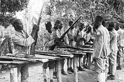 Askari troops in German East Africa armed with Model 1871s