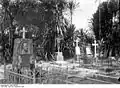 A German cemetery in Kamerun.