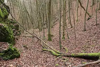 Image 5: SE end of the ditch (Dec&nbsp;2014)