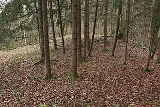 Image 8: View over the slightly higher SE site of the site (Dec&nbsp;2014)