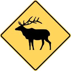 Elk area.