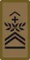 OR-7b - Chief sergeant major