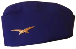 An example from the French Air and Space Force.