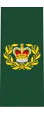 Insignia of a master warrant officer