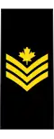 Petty officer 2nd class (French: Maître de 2e classe) (Royal Canadian Navy)[3]